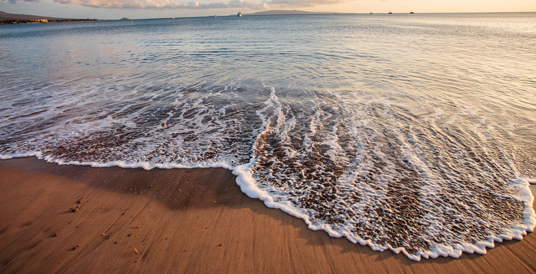 BY THE SEAについて